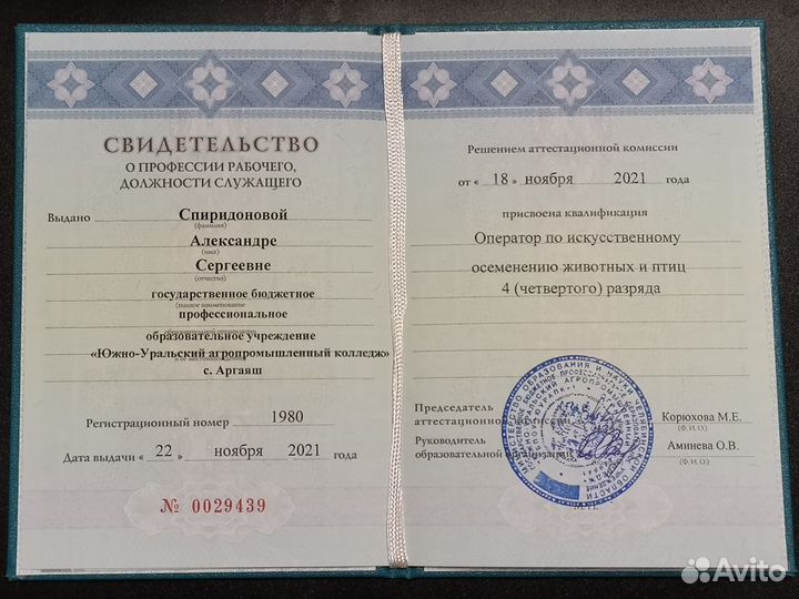 Искусственное осеменение и узи коров