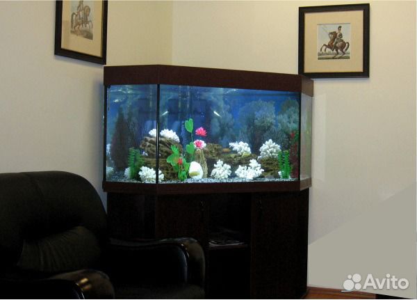 Обслуживание и чистка аквариумов