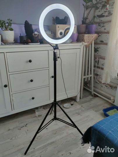 Кольцевая лампа со штативом