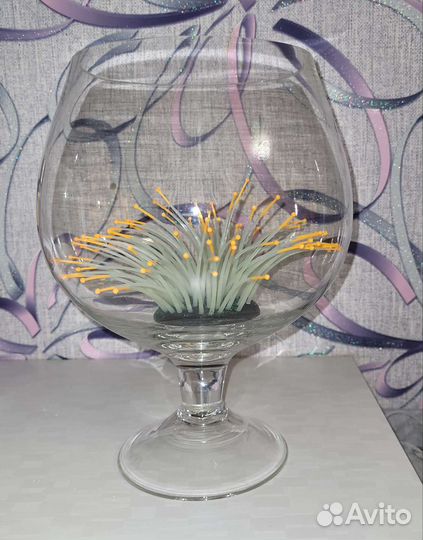 Аквариум бокал 3л