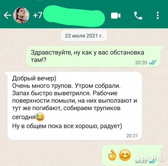 Уничтожение любых насекомых. Клопы, тараканы и т.д