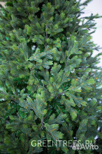 Ель Green Trees 1,8м с литыми ветками