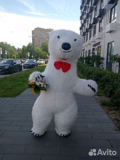 Белый мишка Стиляга, Чебурашка, Мишка из тик тока