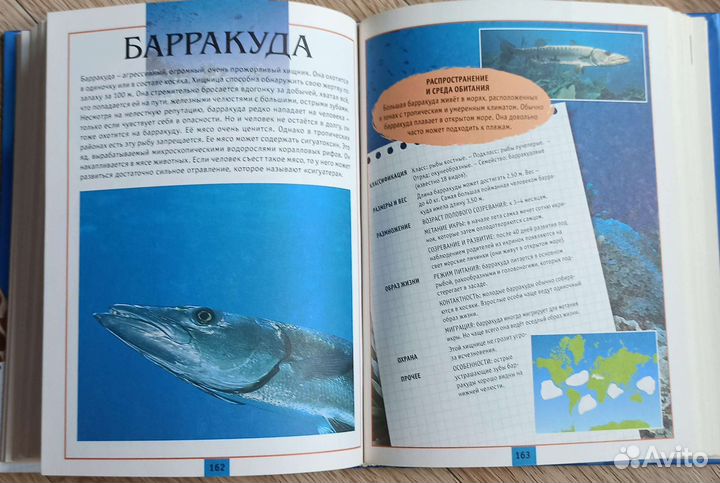 Атлас животных. Автомобили. Книга записи расходов