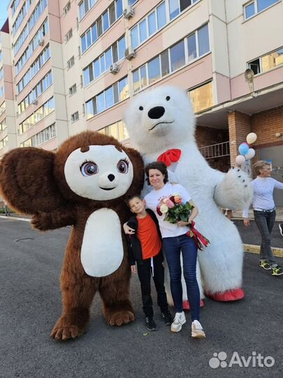 Белый Медведь Поздравление.Белый Мишка на праздник