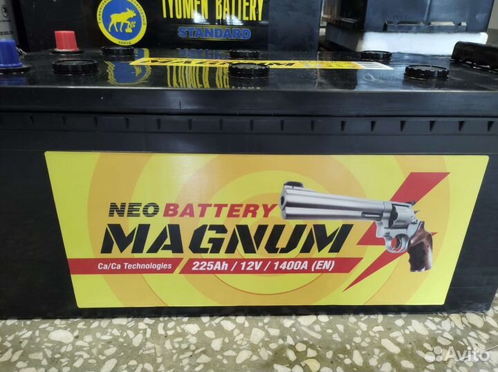 Аккумуляторы Magnum 225A Доставка