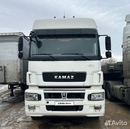 КАМАЗ 5490, 2018