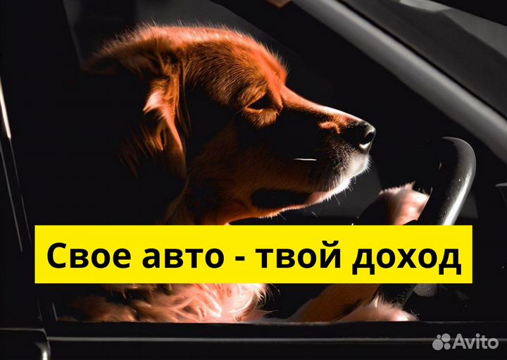 Личный тс и работа в Яндекс.Go