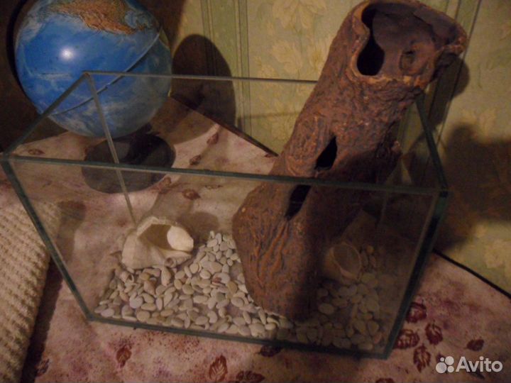 Черное море. Грот