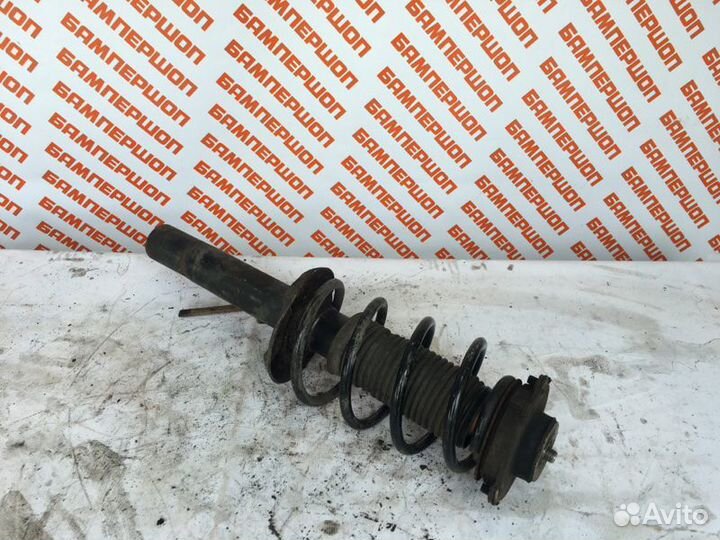 Амортизатор передний лп передний Skoda Octavia 2