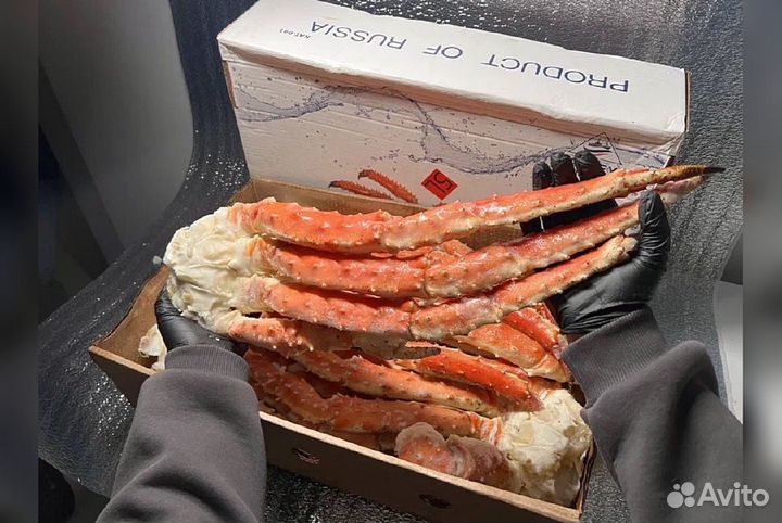 Краб, Креветка, Гребешок