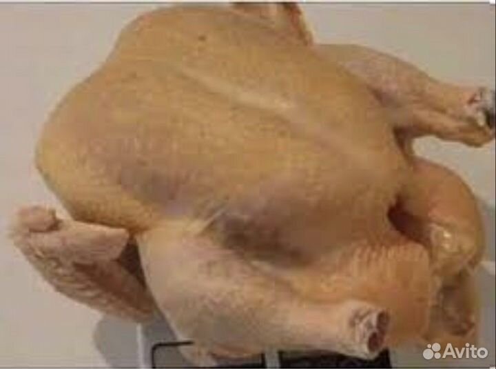 Мясо домашних бройлеров