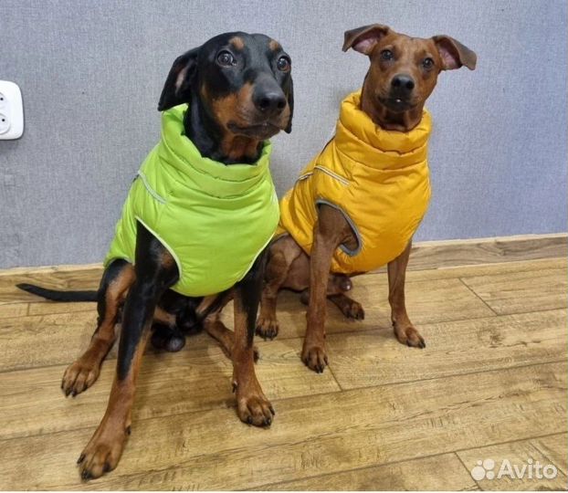 Одежда для собак и кошек. Оптом и в розницу