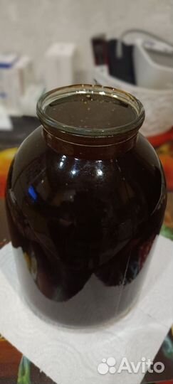 Мед гречишный - сбор август 2023 год