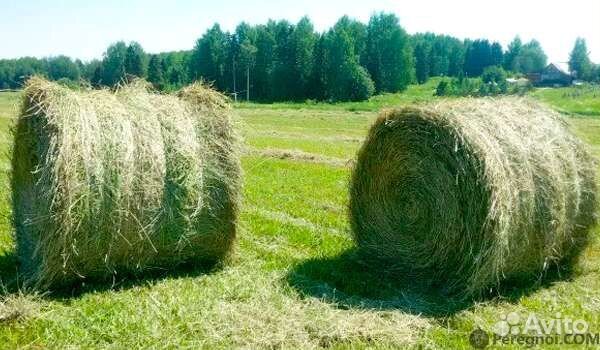 Сено тюки,рулоны