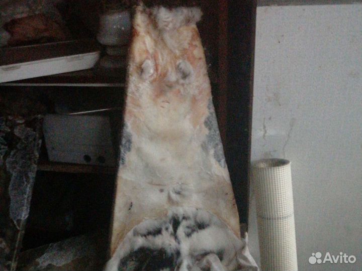 Шкура кролика
