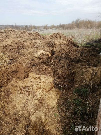 Конский навоз