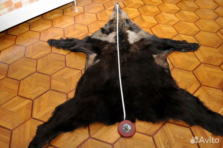 Шкура медведя имитация с головой