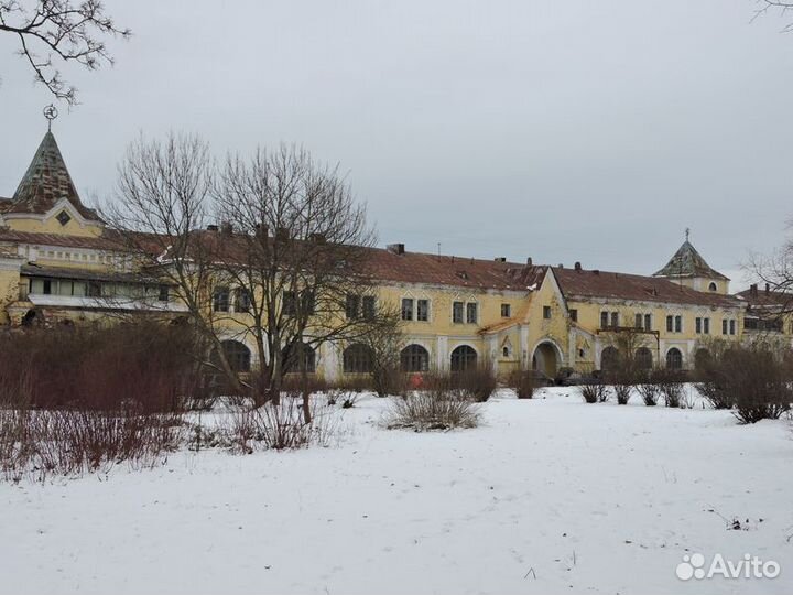 Экскурсия — Санкт-Петербург — Царское Село — неофи