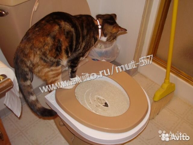 Система приучения кота к унитазу туалету