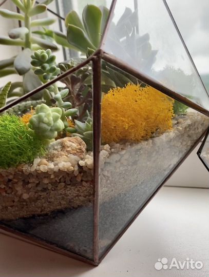 Флорариум «Полусфера с гранями »