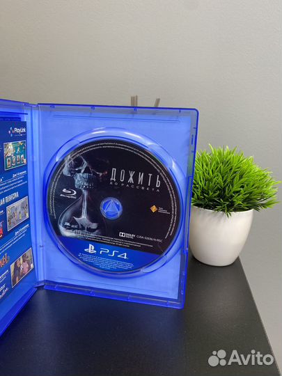 Дожить до рассвета ps4 диск