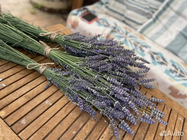 Лаванда в пучках свежесрезанная подсушенная