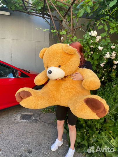Плюшевый медведь