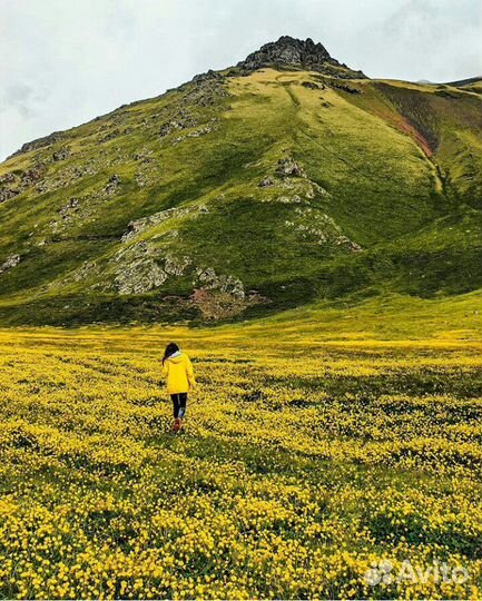 Экскурсия в горы на внедорожниках
