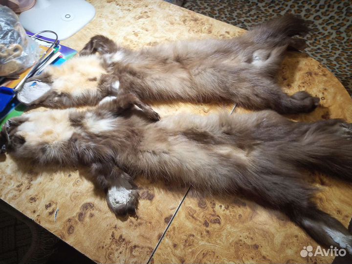 Шкурки 2 шт целиком. Цена за обе