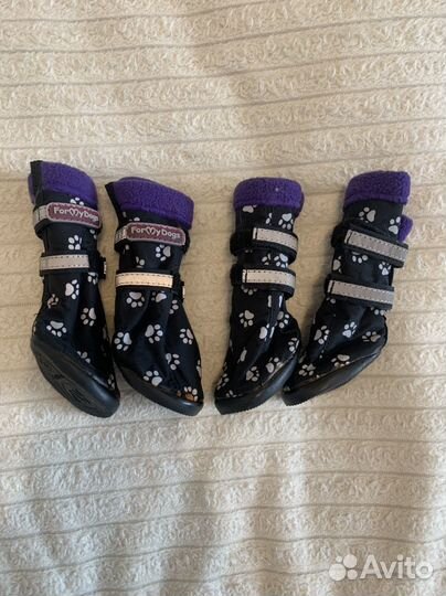 Обувь для собак