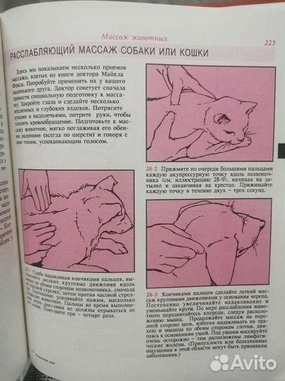 Книга о массаже