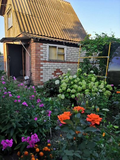 Дом 45 м² на участке 10 сот.