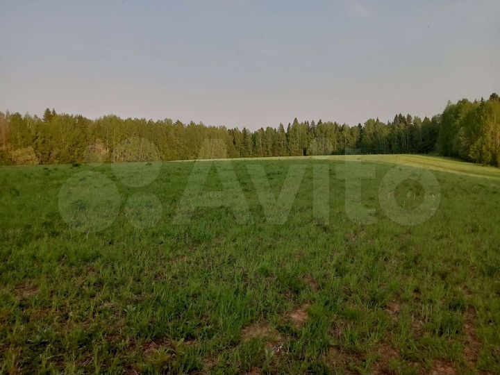 Участок 4,2 га (СНТ, ДНП)
