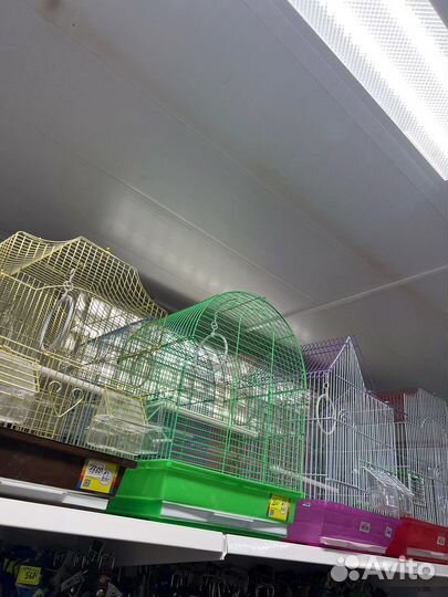 Клетки для попугаев, грызунов и кроликов, Корма