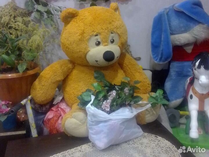 Мишка плюшевый