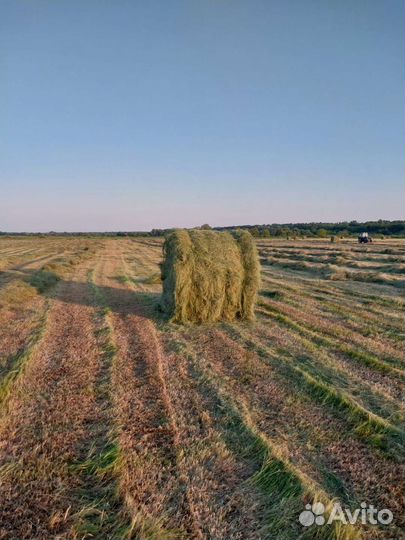 Сено в тюках
