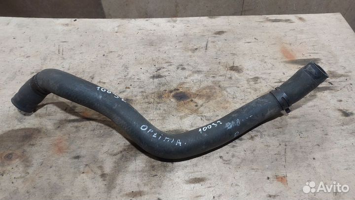 Патрубок радиатора нижний Kia Optima 3 TF G4KE