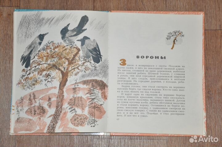 Книги о природе для детей