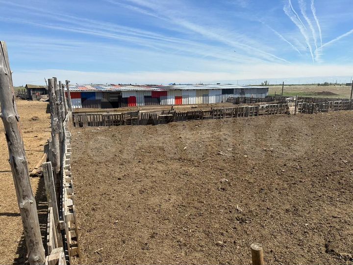 Дом 120 м² на участке 5 га