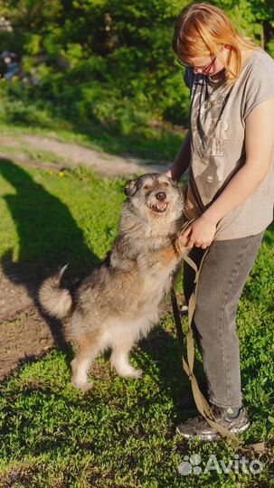 Милая Машерочка в добрые руки