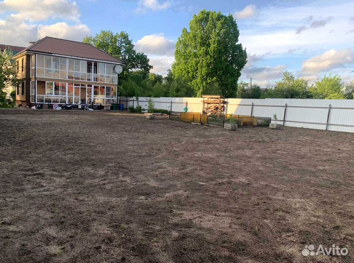 Семена газонной травы