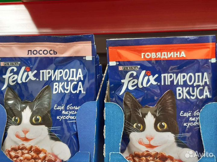 Корм для кошек