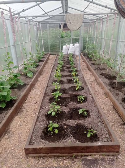 Дача 30 м² на участке 4,5 сот.