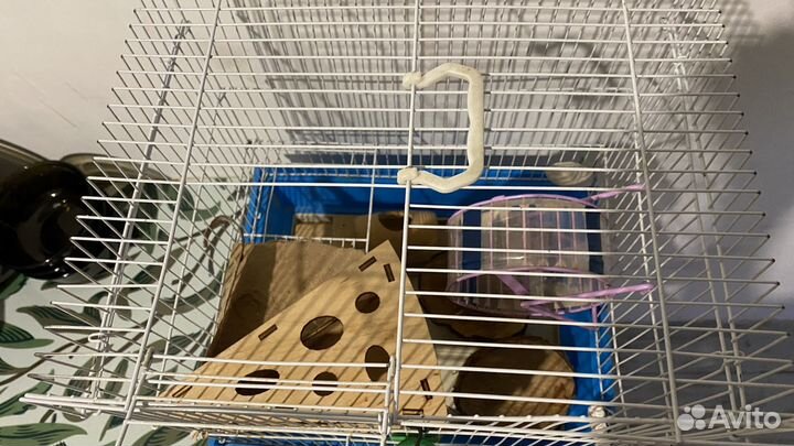 Две клетки с аксессуарами комплектом