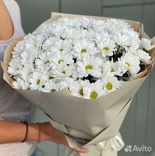 Хризантема Букеты с доставкой