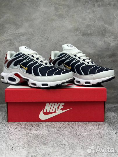 Кроссовки Nike Air Max Tn Plus