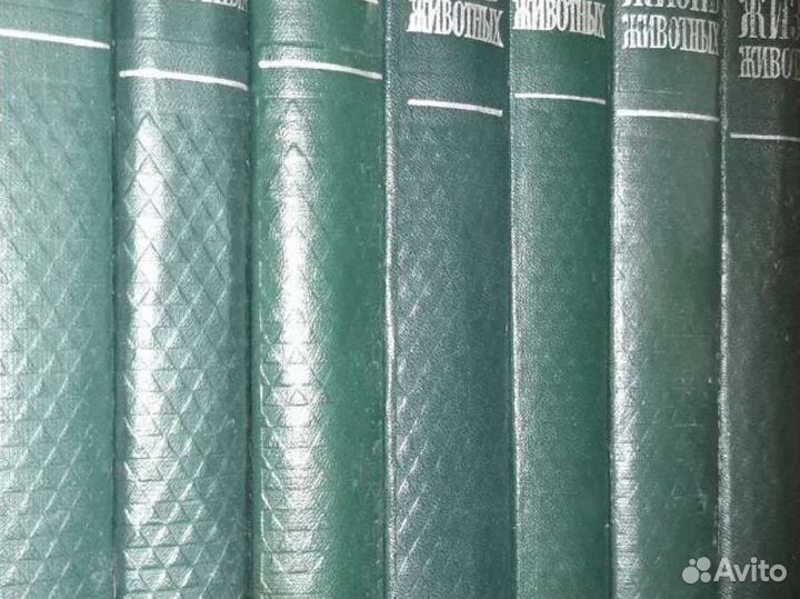 Энциклопедия Жизнь растений, животных