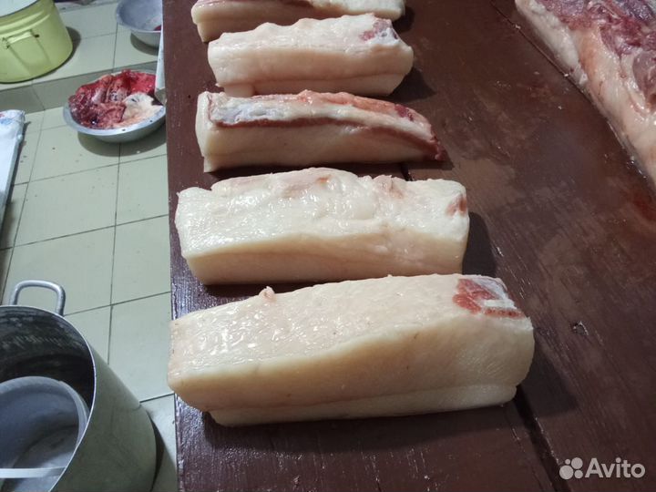 Продам сало домашнее