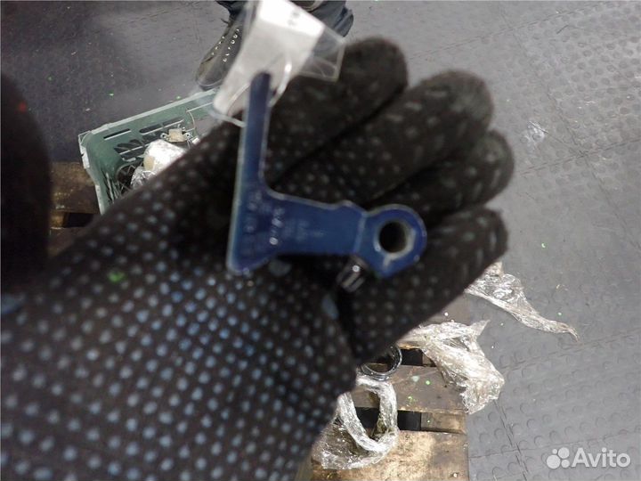 Петля двери Volkswagen Tiguan, 2012